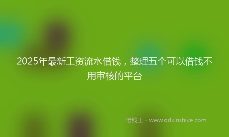 2025年最新工资流水借钱，整理五个可以借钱不用审核的平台