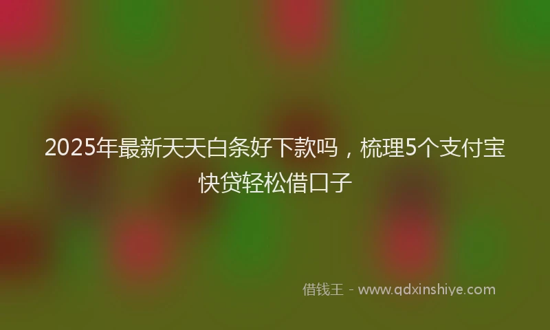 2025年最新天天白条好下款吗，梳理5个支付宝快贷轻松借口子