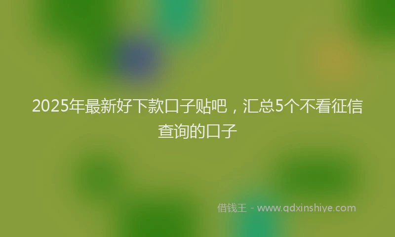 2025年最新好下款口子贴吧，汇总5个不看征信查询的口子