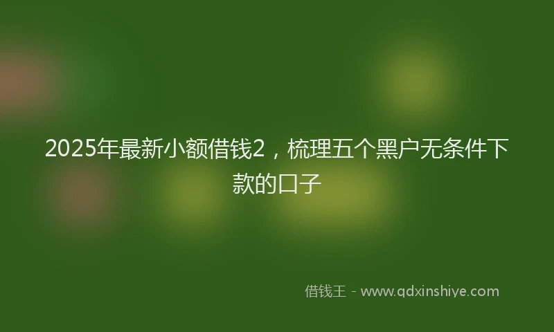 2025年最新小额借钱2，梳理五个黑户无条件下款的口子