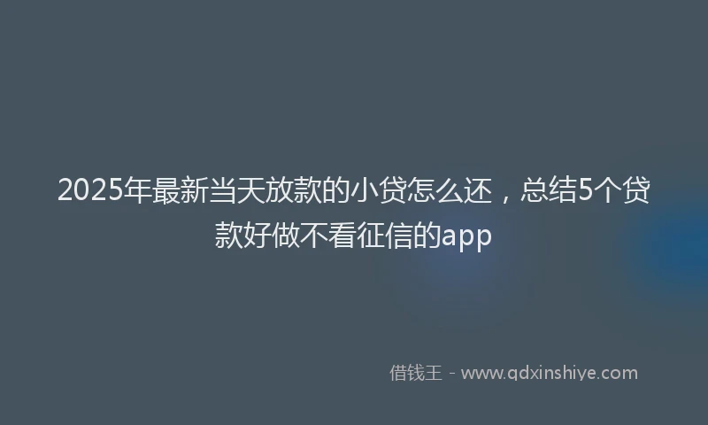 2025年最新当天放款的小贷怎么还，总结5个贷款好做不看征信的app