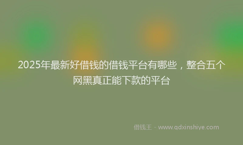 2025年最新好借钱的借钱平台有哪些，整合五个网黑真正能下款的平台