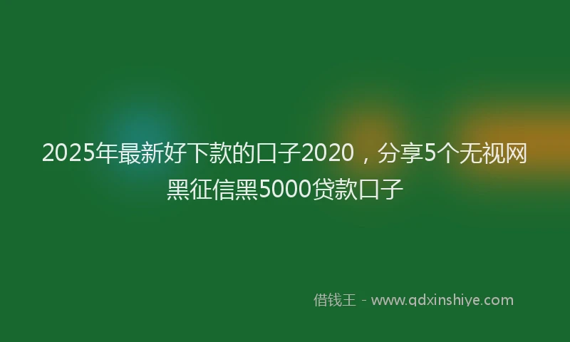 2025年最新好下款的口子2020，分享5个无视网黑征信黑5000贷款口子