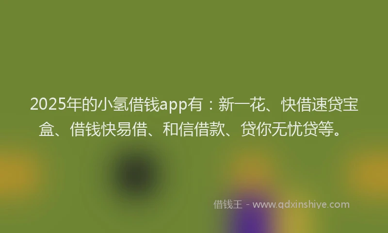 2025年的小氢借钱app有：新一花、快借速贷宝盒、借钱快易借、和信借款、贷你无忧贷等。