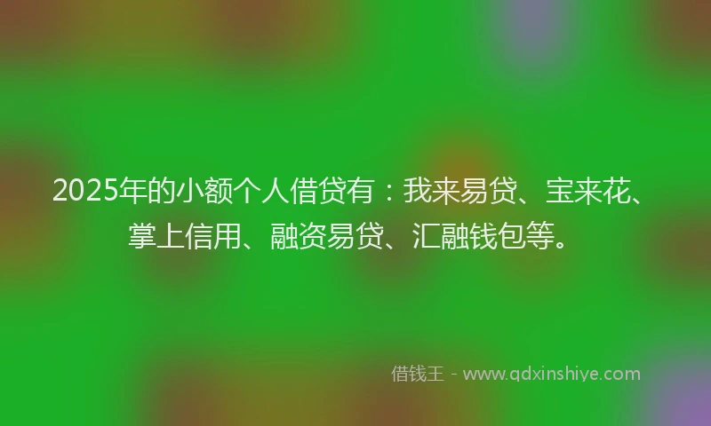 2025年的小额个人借贷有：我来易贷、宝来花、掌上信用、融资易贷、汇融钱包等。