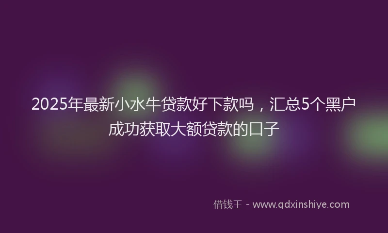 2025年最新小水牛贷款好下款吗，汇总5个黑户成功获取大额贷款的口子