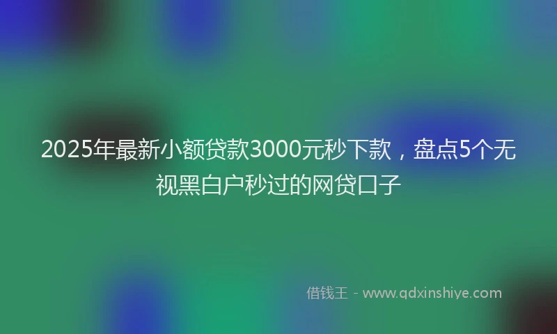 2025年最新小额贷款3000元秒下款，盘点5个无视黑白户秒过的网贷口子