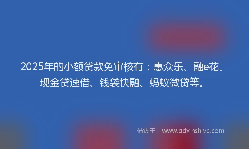 2025年的小额贷款免审核有：惠众乐、融e花、现金贷速借、钱袋快融、蚂蚁微贷等。