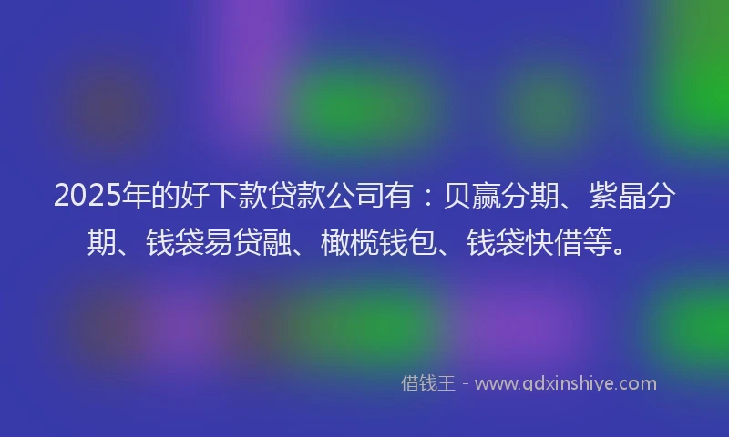 2025年的好下款贷款公司有：贝赢分期、紫晶分期、钱袋易贷融、橄榄钱包、钱袋快借等。