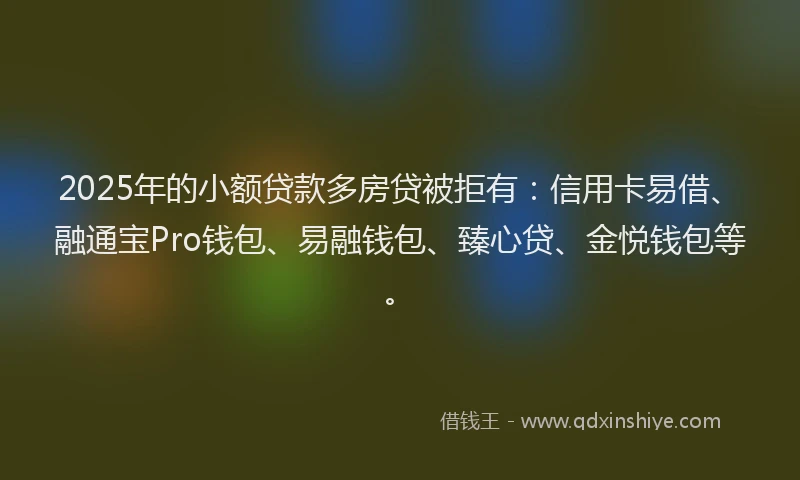 2025年的小额贷款多房贷被拒有：信用卡易借、融通宝Pro钱包、易融钱包、臻心贷、金悦钱包等。