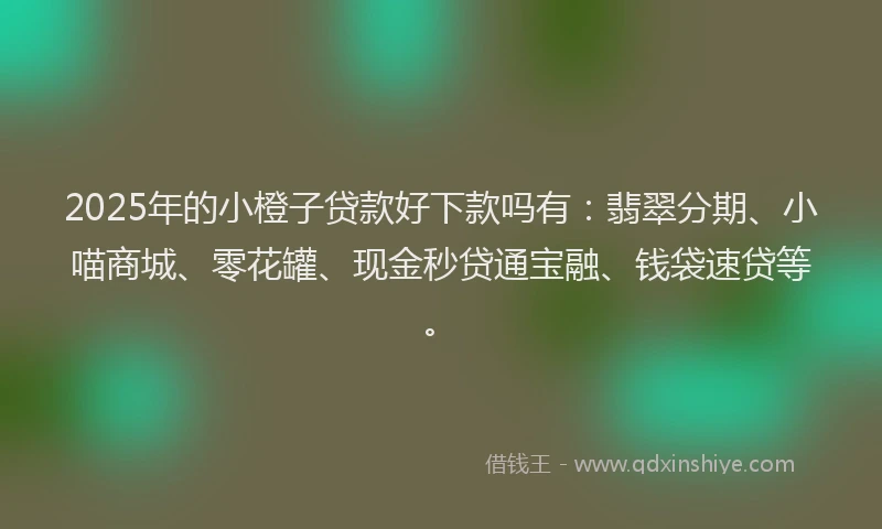 2025年的小橙子贷款好下款吗有：翡翠分期、小喵商城、零花罐、现金秒贷通宝融、钱袋速贷等。
