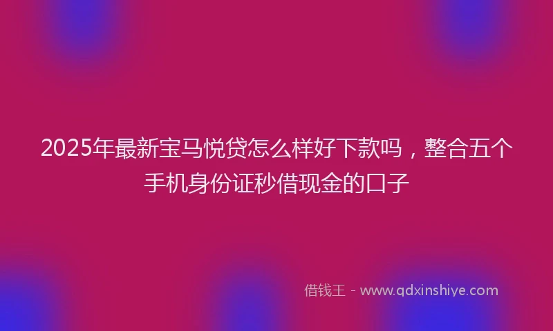 2025年最新宝马悦贷怎么样好下款吗，整合五个手机身份证秒借现金的口子