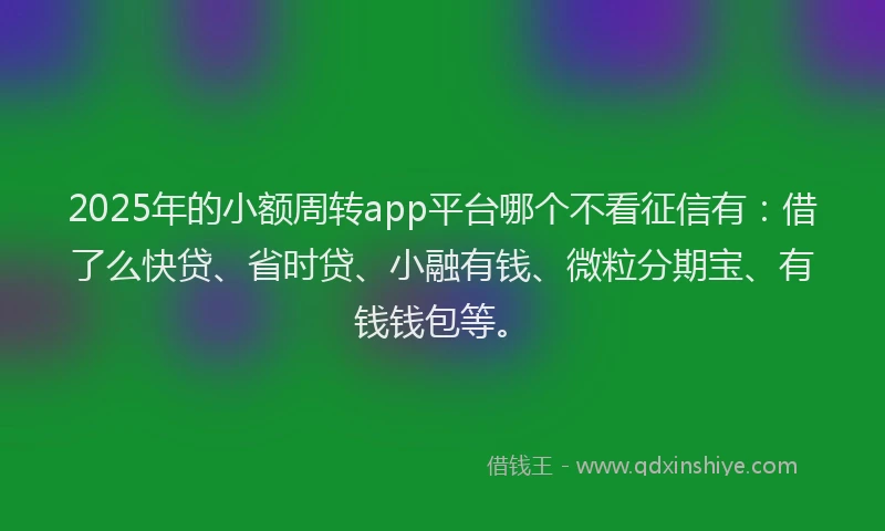 2025年的小额周转app平台哪个不看征信有：借了么快贷、省时贷、小融有钱、微粒分期宝、有钱钱包等。
