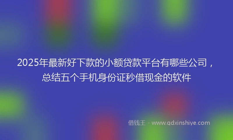 2025年最新好下款的小额贷款平台有哪些公司，总结五个手机身份证秒借现金的软件