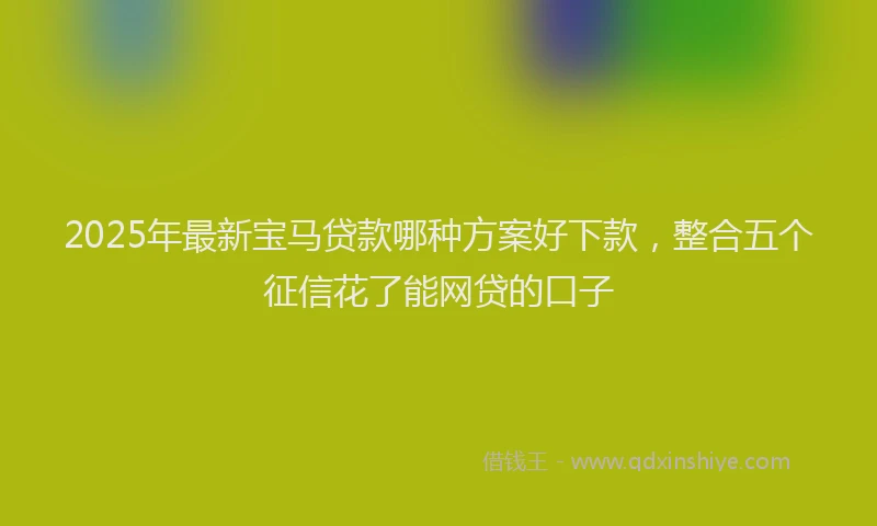2025年最新宝马贷款哪种方案好下款，整合五个征信花了能网贷的口子