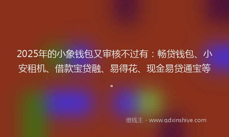2025年的小象钱包又审核不过有：畅贷钱包、小安租机、借款宝贷融、易得花、现金易贷通宝等。