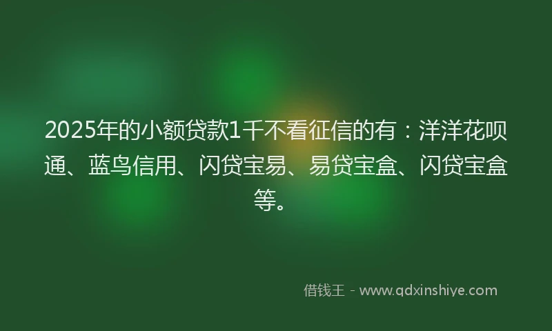2025年的小额贷款1千不看征信的有：洋洋花呗通、蓝鸟信用、闪贷宝易、易贷宝盒、闪贷宝盒等。
