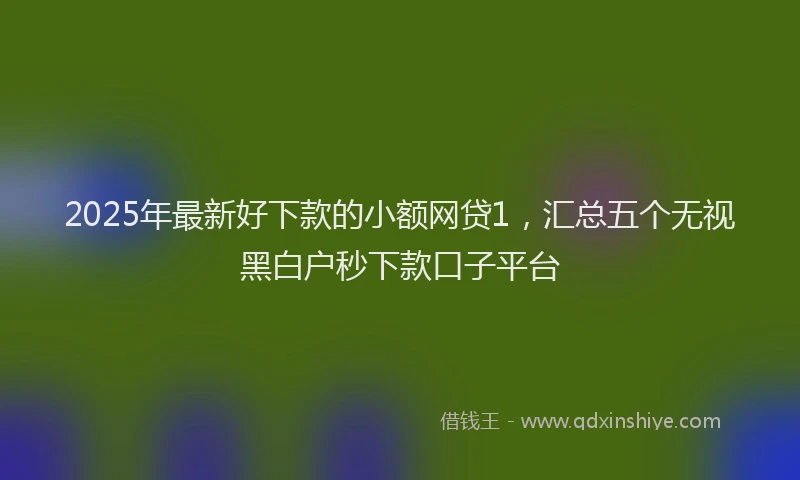 2025年最新好下款的小额网贷1，汇总五个无视黑白户秒下款口子平台