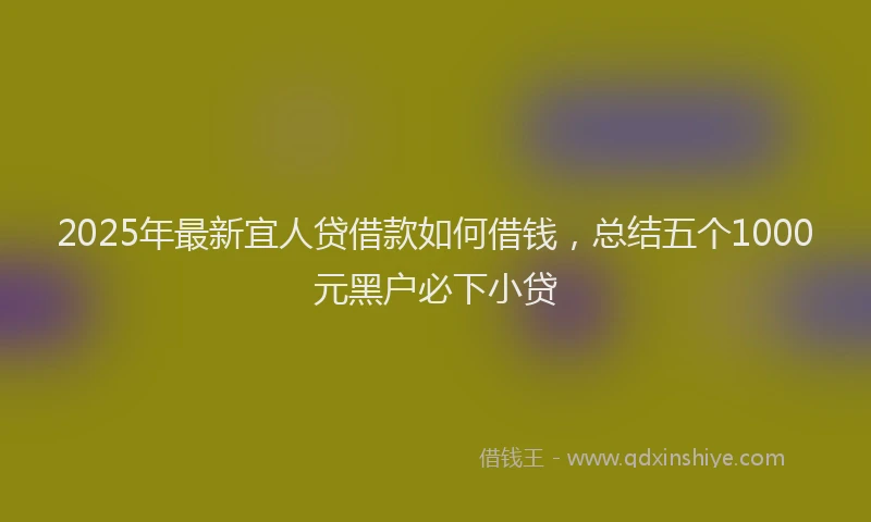 2025年最新宜人贷借款如何借钱，总结五个1000元黑户必下小贷