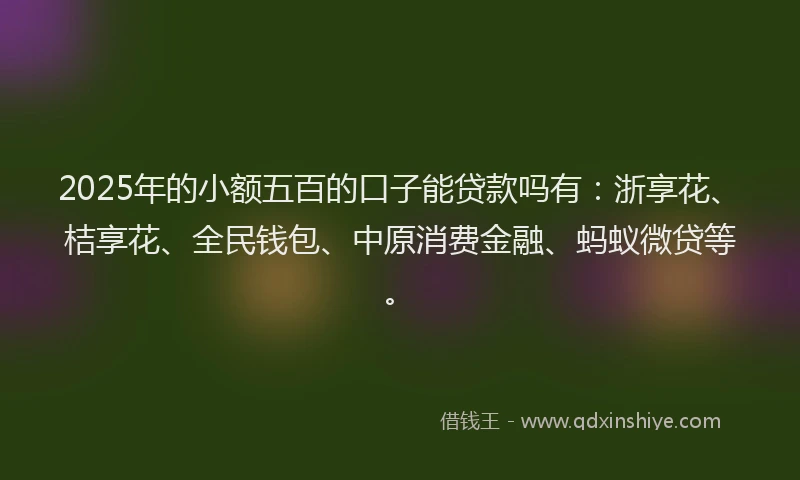 2025年的小额五百的口子能贷款吗有：浙享花、桔享花、全民钱包、中原消费金融、蚂蚁微贷等。