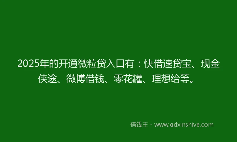 2025年的开通微粒贷入口有：快借速贷宝、现金侠途、微博借钱、零花罐、理想给等。