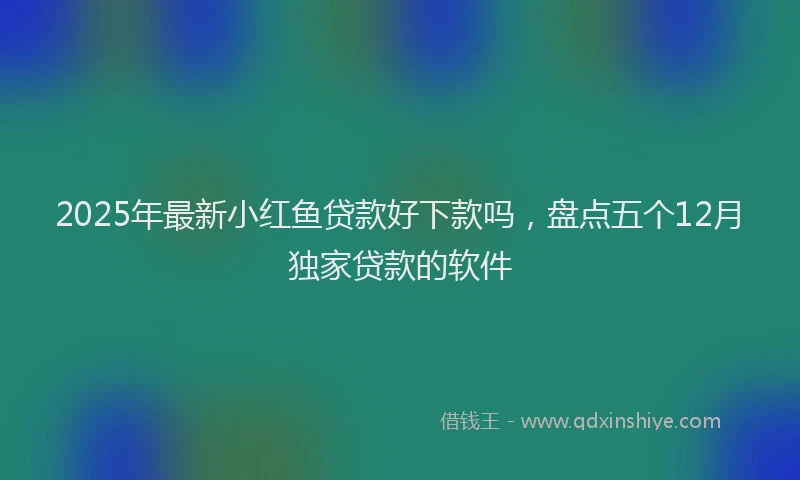 2025年最新小红鱼贷款好下款吗，盘点五个12月独家贷款的软件