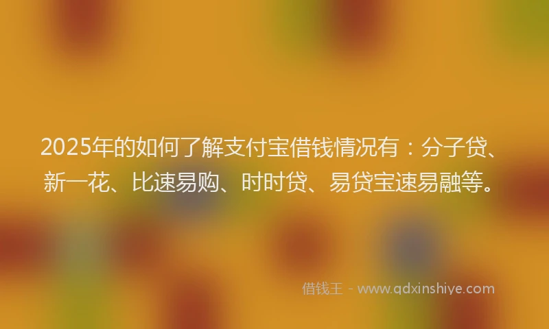 2025年的如何了解支付宝借钱情况有：分子贷、新一花、比速易购、时时贷、易贷宝速易融等。