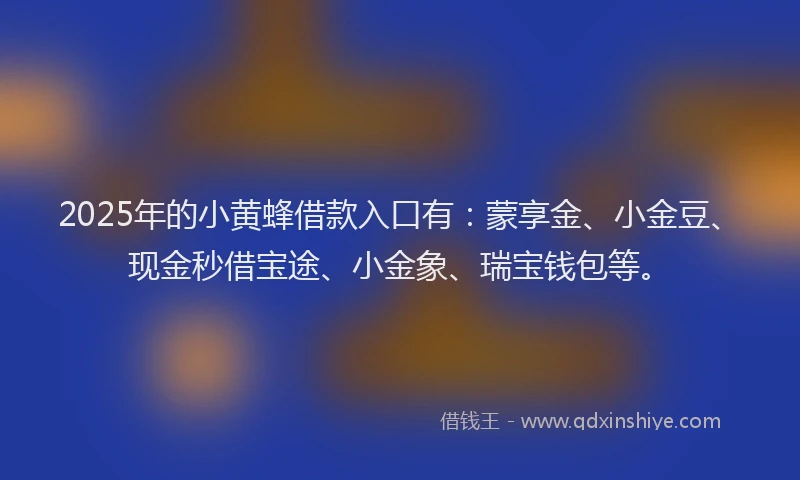 2025年的小黄蜂借款入口有：蒙享金、小金豆、现金秒借宝途、小金象、瑞宝钱包等。