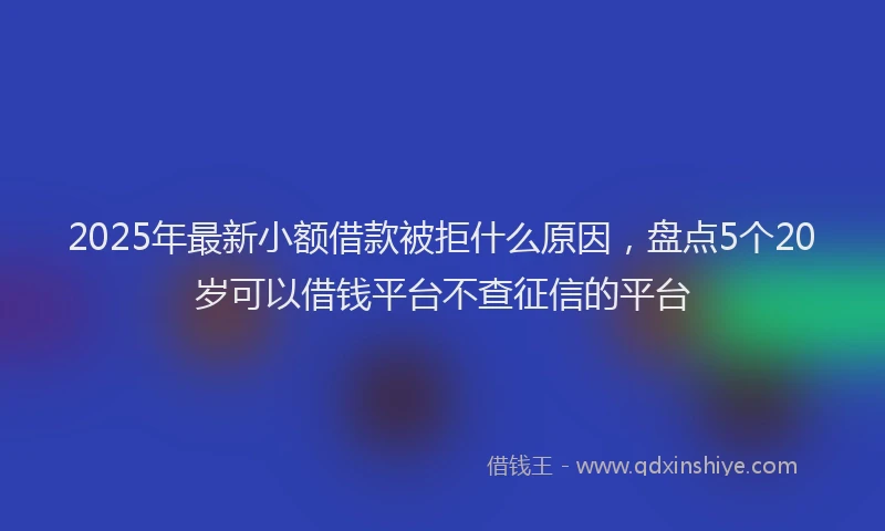 2025年最新小额借款被拒什么原因，盘点5个20岁可以借钱平台不查征信的平台
