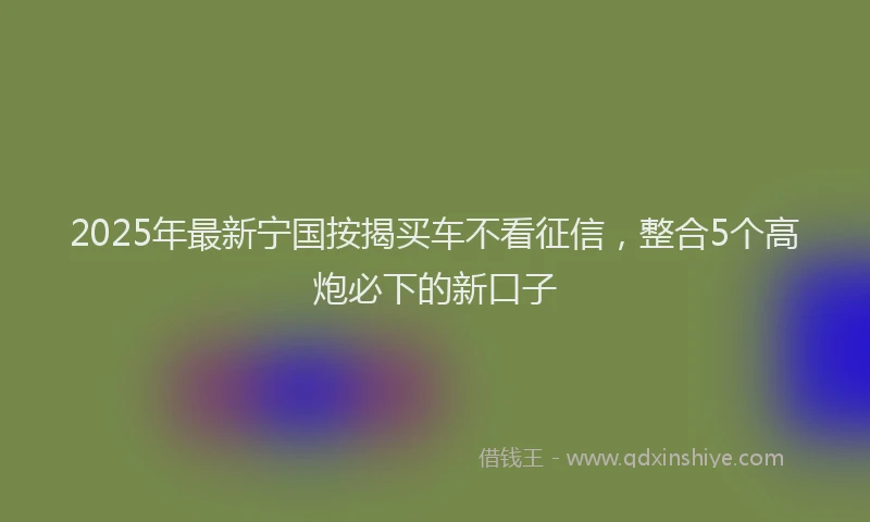 2025年最新宁国按揭买车不看征信，整合5个高炮必下的新口子