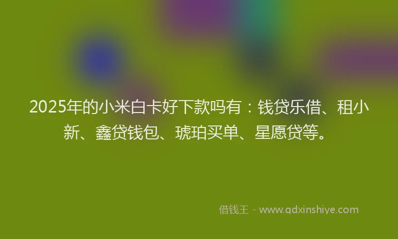 2025年的小米白卡好下款吗有：钱贷乐借、租小新、鑫贷钱包、琥珀买单、星愿贷等。