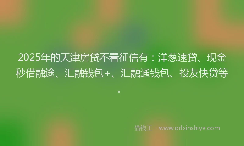 2025年的天津房贷不看征信有：洋葱速贷、现金秒借融途、汇融钱包+、汇融通钱包、投友快贷等。