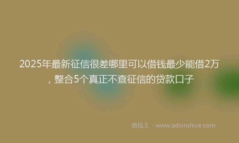 2025年最新征信很差哪里可以借钱最少能借2万，整合5个真正不查征信的贷款口子