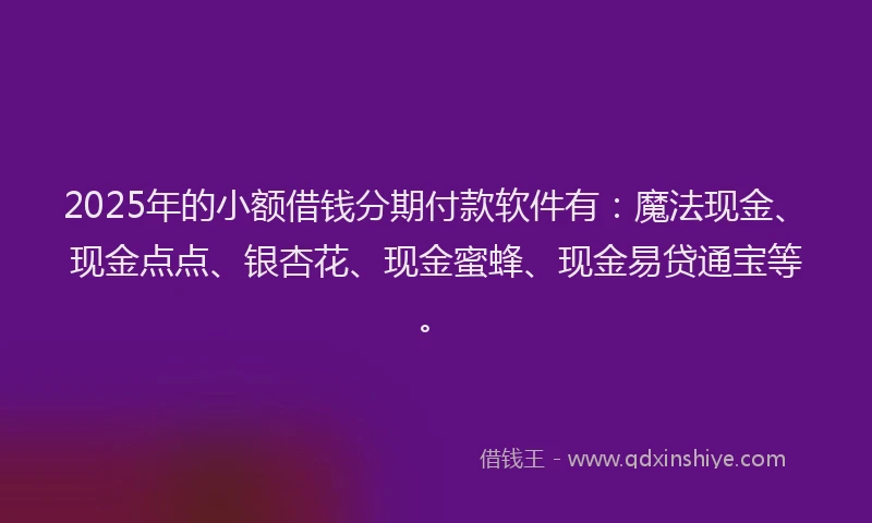 2025年的小额借钱分期付款软件有：魔法现金、现金点点、银杏花、现金蜜蜂、现金易贷通宝等。