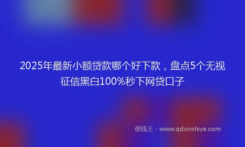 2025年最新小额贷款哪个好下款，盘点5个无视征信黑白100%秒下网贷口子