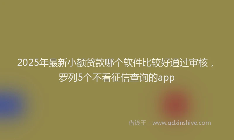 2025年最新小额贷款哪个软件比较好通过审核，罗列5个不看征信查询的app