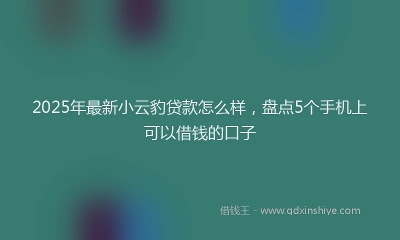 2025年最新小云豹贷款怎么样，盘点5个手机上可以借钱的口子