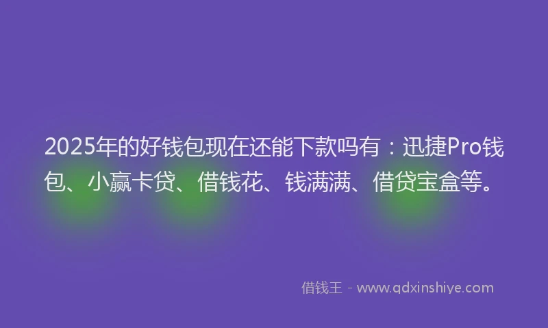 2025年的好钱包现在还能下款吗有：迅捷Pro钱包、小赢卡贷、借钱花、钱满满、借贷宝盒等。
