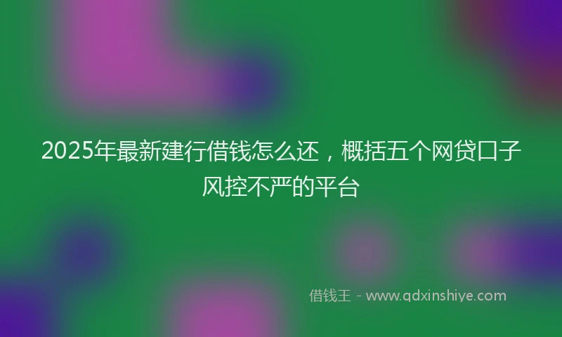 2025年最新建行借钱怎么还，概括五个网贷口子风控不严的平台