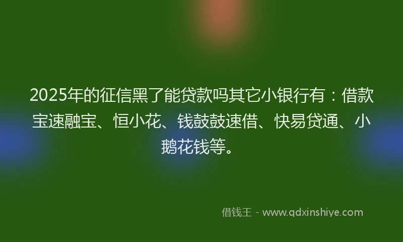 2025年的征信黑了能贷款吗其它小银行有：借款宝速融宝、恒小花、钱鼓鼓速借、快易贷通、小鹅花钱等。