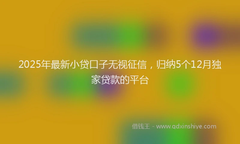 2025年最新小贷口子无视征信，归纳5个12月独家贷款的平台