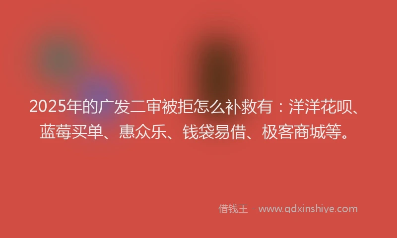 2025年的广发二审被拒怎么补救有:洋洋花呗、蓝莓买单、惠众乐、钱袋易借、极客商城等。