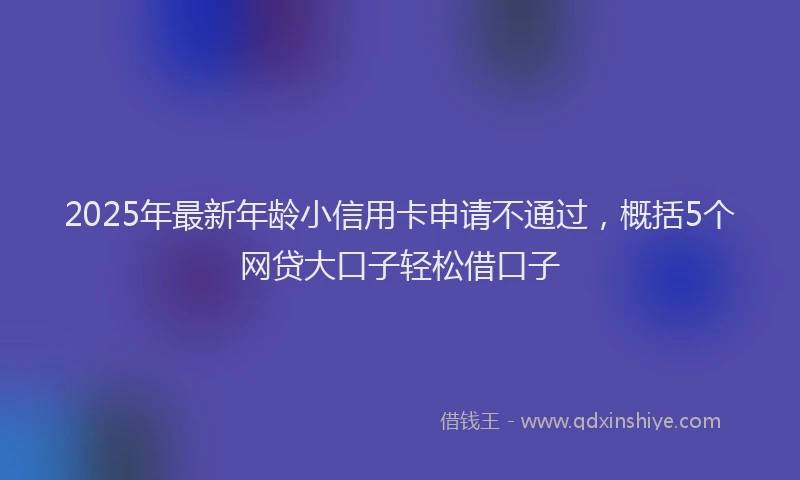 2025年最新年龄小信用卡申请不通过，概括5个网贷大口子轻松借口子