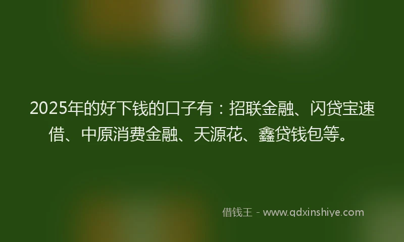 2025年的好下钱的口子有：招联金融、闪贷宝速借、中原消费金融、天源花、鑫贷钱包等。