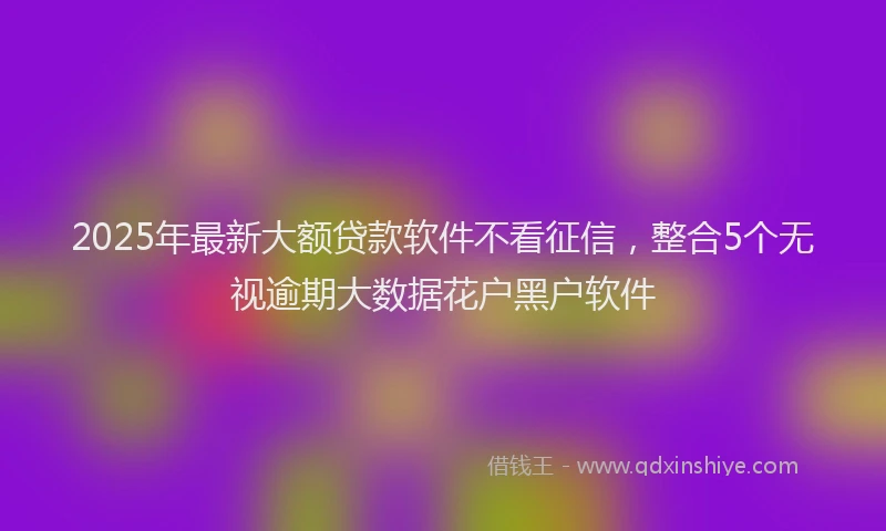 2025年最新大额贷款软件不看征信，整合5个无视逾期大数据花户黑户软件