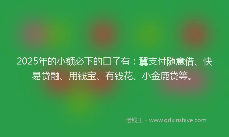 2025年的小额必下的口子有：翼支付随意借、快易贷融、用钱宝、有钱花、小金鹿贷等。