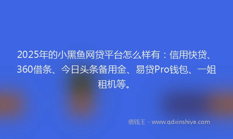 2025年的小黑鱼网贷平台怎么样有：信用快贷、360借条、今日头条备用金、易贷Pro钱包、一姐租机等。