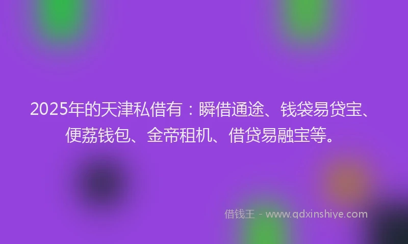 2025年的天津私借有：瞬借通途、钱袋易贷宝、便荔钱包、金帝租机、借贷易融宝等。