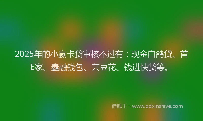 2025年的小赢卡贷审核不过有：现金白鸽贷、首E家、鑫融钱包、芸豆花、钱进快贷等。