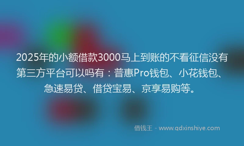 2025年的小额借款3000马上到账的不看征信没有第三方平台可以吗有：普惠Pro钱包、小花钱包、急速易贷、借贷宝易、京享易购等。